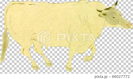 Cow  66027772