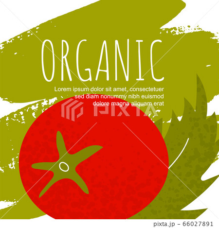 Oragnic tomato vector poster 66027891