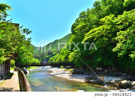 新緑の季節を迎える塩原温泉、箒川と福渡不動吊橋 66028822