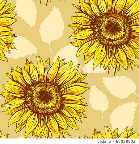 Sunflowers field seamless vector pattern for fabric textile design. Flat colors, easy to print. 66028902