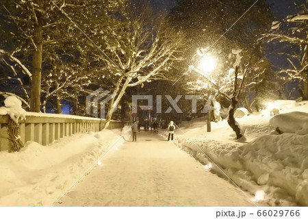米沢雪灯籠まつり 66029766