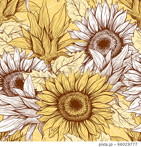 Sunflowers field seamless vector pattern for fabric textile design. Flat colors, easy to print. 66029777