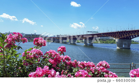 聖水大橋 漢江 ソウル 66030036