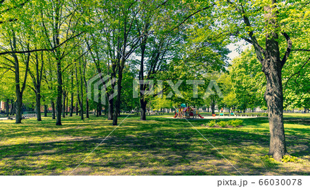 Empty Riga parks in sunny spring 66030078