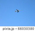 飛行機　青空　写真 66030380
