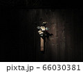 椿　一輪挿し　写真 66030381