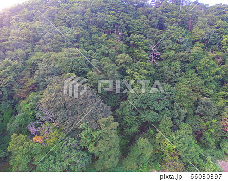 山林〜ドローンで空撮（猪苗代湖･西岸／福島県会津若松市湊町大字赤井字屋敷） 66030397