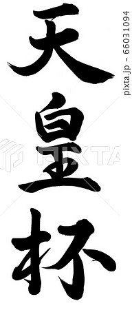 天皇杯 66031094
