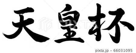 天皇杯 天皇杯 66031095