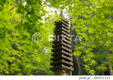 出流山満願寺 66031133