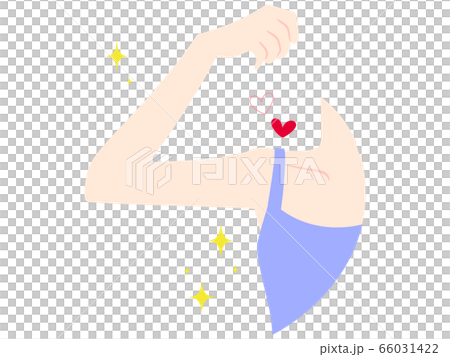 綺麗で問題のない腋と腕 66031422
