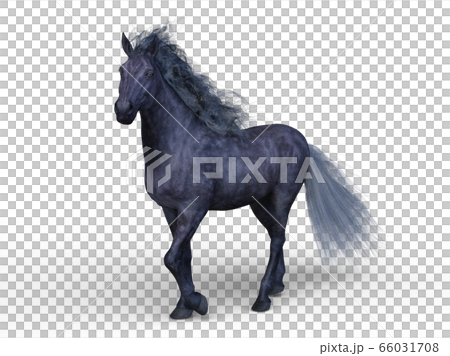 Horse Horse 66031708