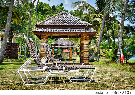 Giant stunning coconut palm tree with a massage hut and deck chairs under the beautiful blue sky on the shores of the sandy beautiful exotic and stunning Cenang beach in Langkawi island, in Malaysia 66032105