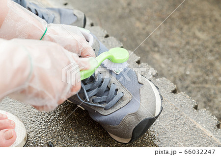 運動靴を洗う手元 運動靴を洗う手元 66032247
