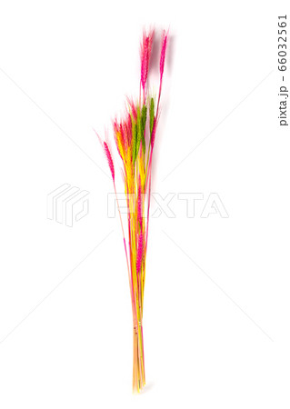 Beautiful A bunch of artificial spikelets 66032561