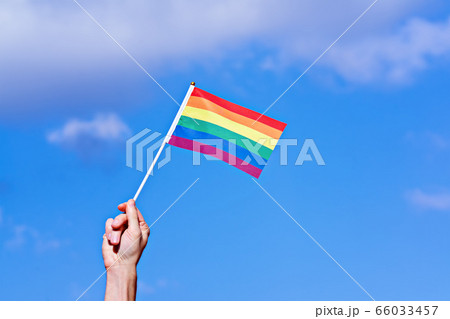 Annual LGBT Pride month Celebration in June 66033457