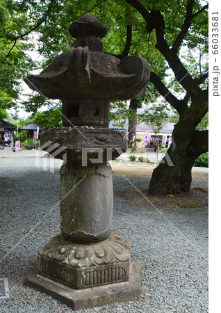 石の灯篭(恵林寺/山梨県甲州市塩山小屋敷2280) 石の灯篭(恵林寺/山梨県甲州市塩山小屋敷2280) 66033681