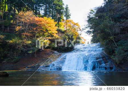 養老渓谷 粟又の滝 秋 （千葉県） 2019年12月撮影 66033820
