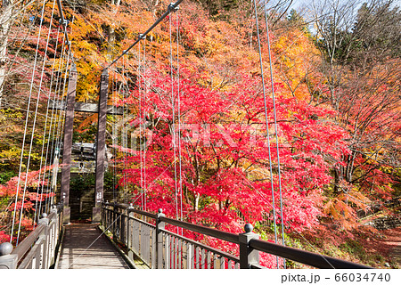 紅の吊橋と紅葉風景 塩原渓谷の秋 栃木県那須塩原市 19年11月撮影の写真素材