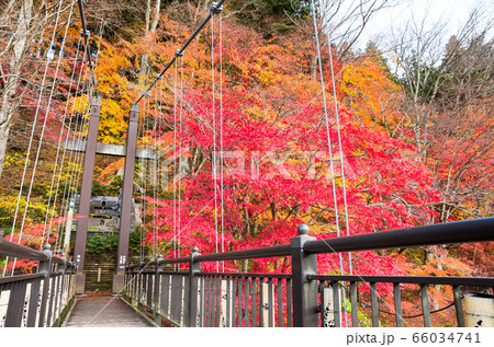 紅の吊橋と紅葉風景 塩原渓谷の秋 （栃木県那須塩原市） 2019年11月撮影 66034741