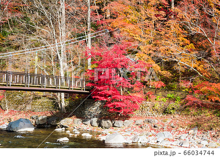 塩原渓谷の紅葉風景 秋 （栃木県那須塩原市） 2019年11月撮影 66034744