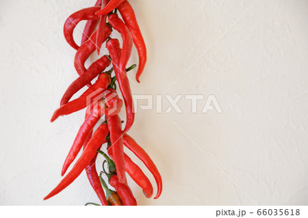 Hot red chili 66035618