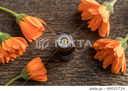 A bottle of calendula essential oil with calendula A bottle of calendula essential oil with calendula 66035724