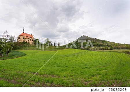 Green mixed forest on Milesovka, highest mountain of Ceske stredohori with lookout tower and meteorological station and observatory, Czech Republic Green mixed forest on Milesovka, highest mountain of Ceske stredohori with lookout tower and meteorological station and observatory, Czech Republic 66036243