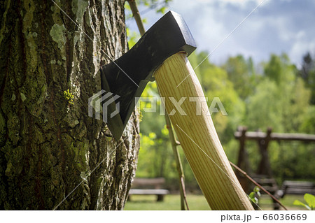 Chopper or axe standing upright in a tree stump Chopper or axe standing upright in a tree stump 66036669