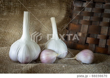 Garlic bulbs and cloves in close-up on sack cloth 66036670
