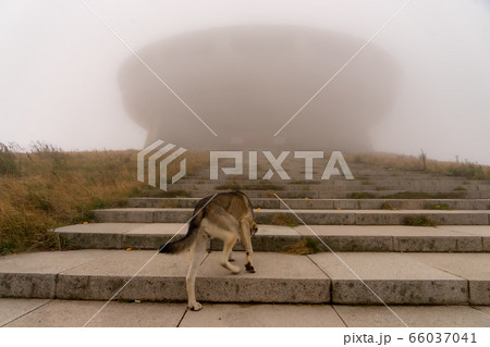 Various tourist attractions of Veliko Tarnovo, Bulgaria Various tourist attractions of Veliko Tarnovo, Bulgaria 66037041