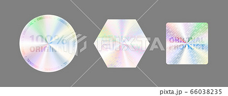 Hologram Label Set Isolate Vector Hologram Sticker 66038235