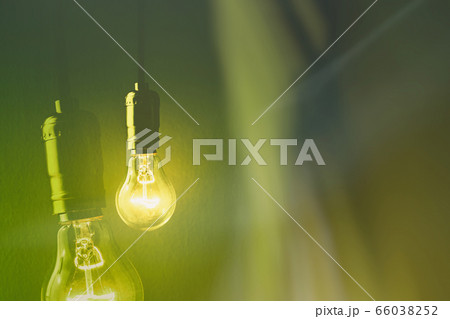 light bulb light bulb 66038252