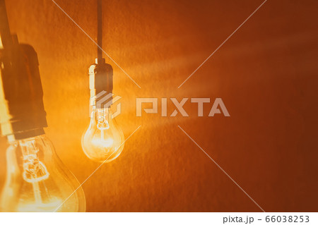 light bulb light bulb 66038253