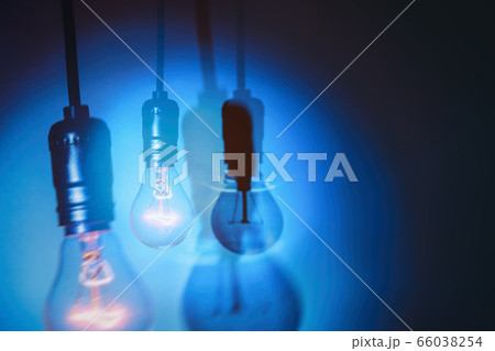 light bulb light bulb 66038254