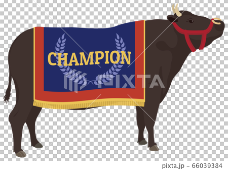 チャンピオン牛 チャンピオン牛 66039384
