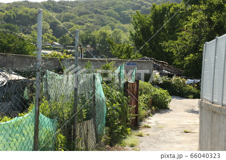 路地 住宅 建築物 66040323