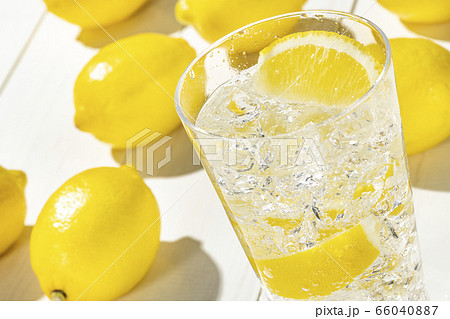 レモンサワー 白板 66040887