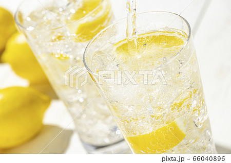レモンサワー 白板 レモンサワー 白板 66040896