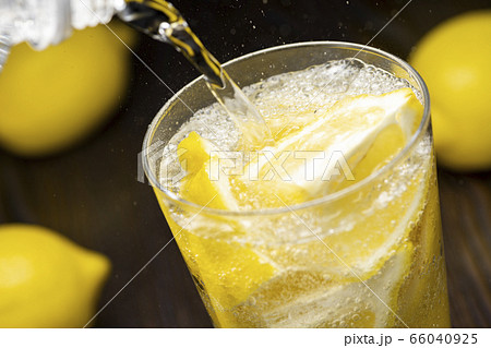 レモンサワー 66040925