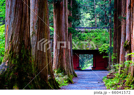 戸隠神社・奥社参道 戸隠神社・奥社参道 66041572