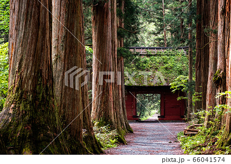 戸隠神社・奥社参道 戸隠神社・奥社参道 66041574