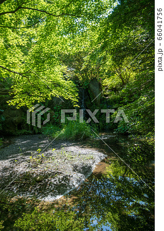 北本キャンプフィールド　せせらぎの川　サンアメニティ　新緑　　 66041756