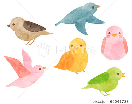 鳥14 小鳥 とり 水彩風 セット 複数 鳥類 動物のイラスト素材
