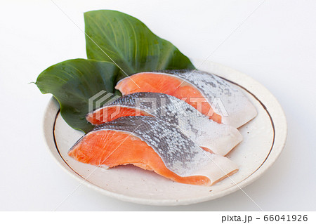 鮭の切り身 66041926