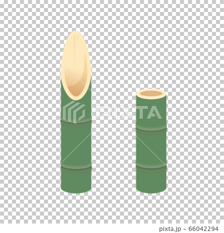 bamboo tube 66042294