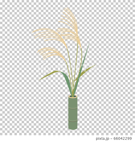 Ssu suki在竹筒上創造 66042299