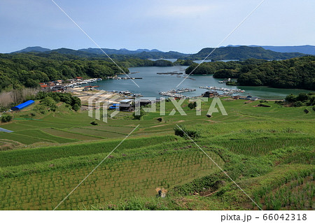 大浦の棚田 66042318