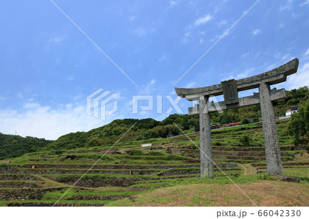 大浦の棚田 66042330