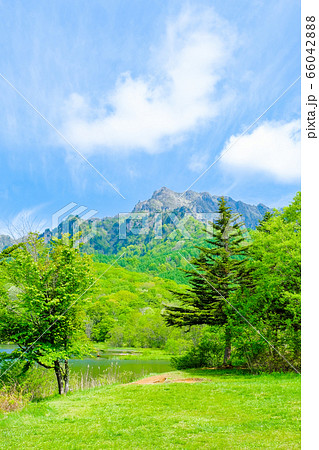 鏡池から望む新緑の戸隠山 66042888